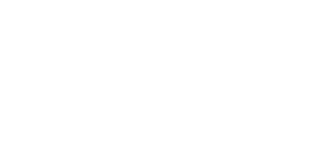 Vikesaa studio logo hvid